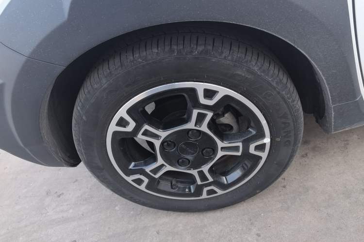 Used  Panda 2024 200km Panda Rider