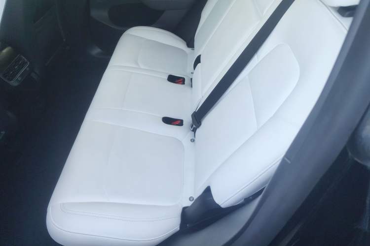 Used Tesla Model Y 2021 Standard Range Rear-Wheel Drive Version
