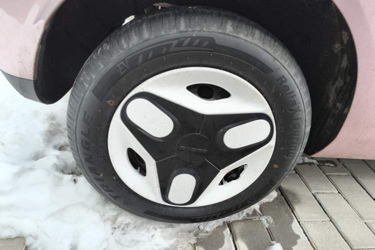 Used  Panda 2025 210 km – Yuanqi Bear
