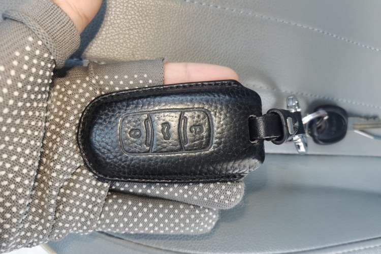 Used  Panda 2023 Panda Mini 200km Endurance Bear