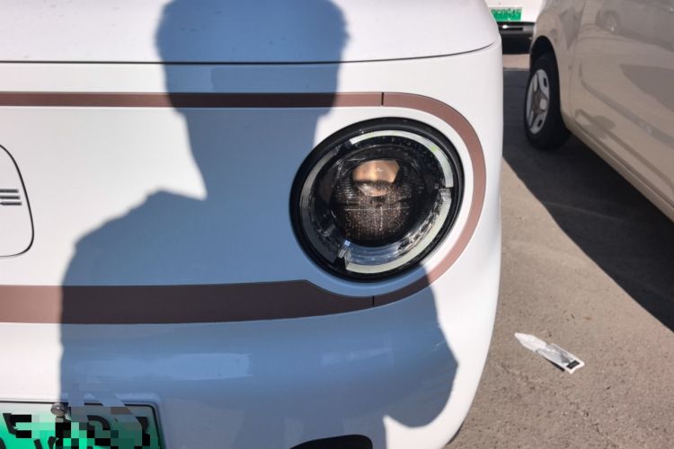 Used  Panda 2024 Panda Mini 200km Endurance Bear
