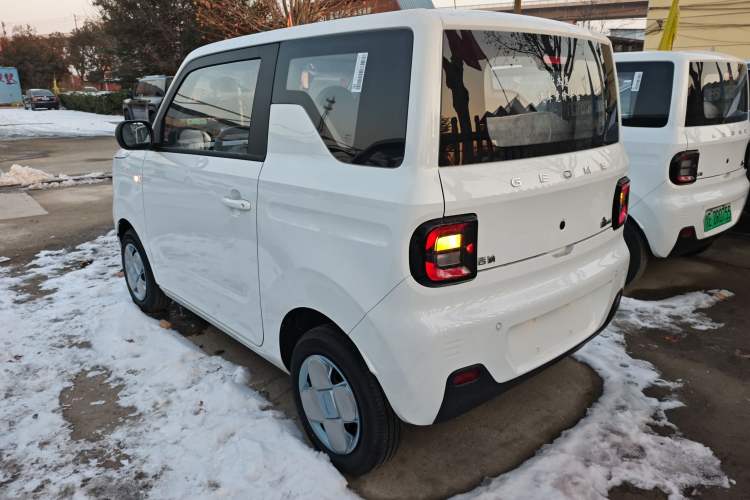 Used  Panda 2024 Panda Mini 200km Endurance Bear