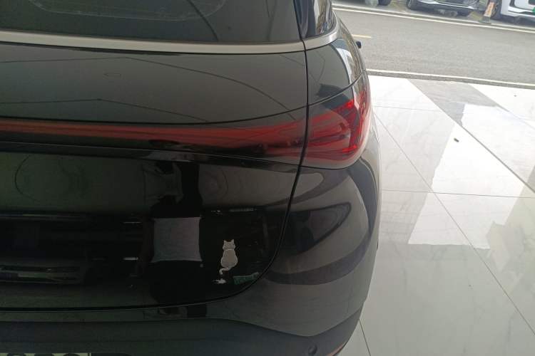 Used  #1 2023 Pro Edition
