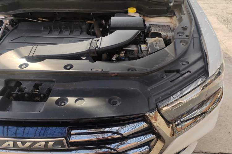 Used Haval H6 2021 National Trend Edition 1.5T Automatic Champion Version
