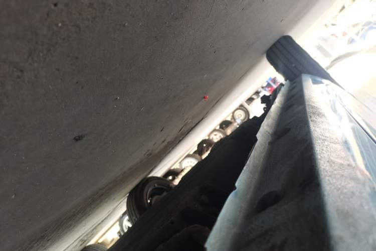 Used  Panda 2024 Panda Mini 200km Endurance Bear
