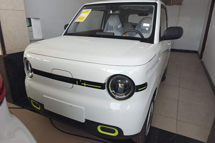 Used  Panda 2025 210 km – Yuanqi Bear