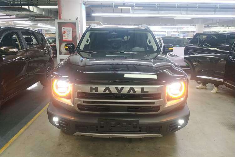 Used Haval DARGO 2024 2.0T DCT Chinese Rural Dog Edition
