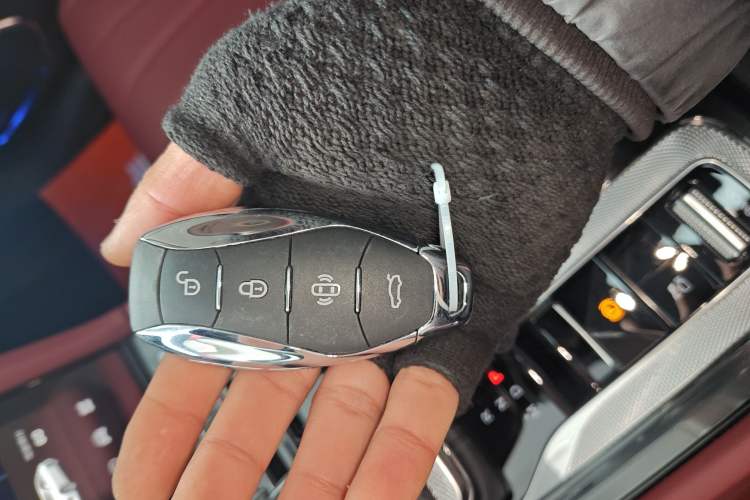 Used Hongqi H5 2025 2.0T Automatic Flag Edition – 500 000 Units Commemorative Version