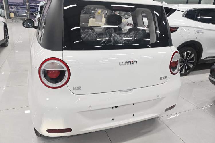 Used  Lumin 2025 205 km Xiangqin Version