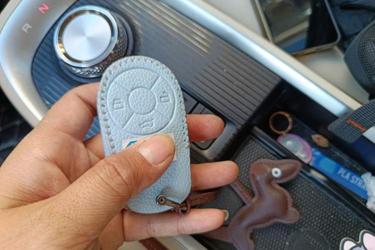 Used ORA Good Cat 2021 400km Standard Range Athena Edition Lithium-Ion Battery
