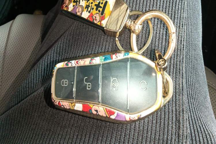 Used BYD Han 2024 DM-i Glory Edition 121KM Premium Model
