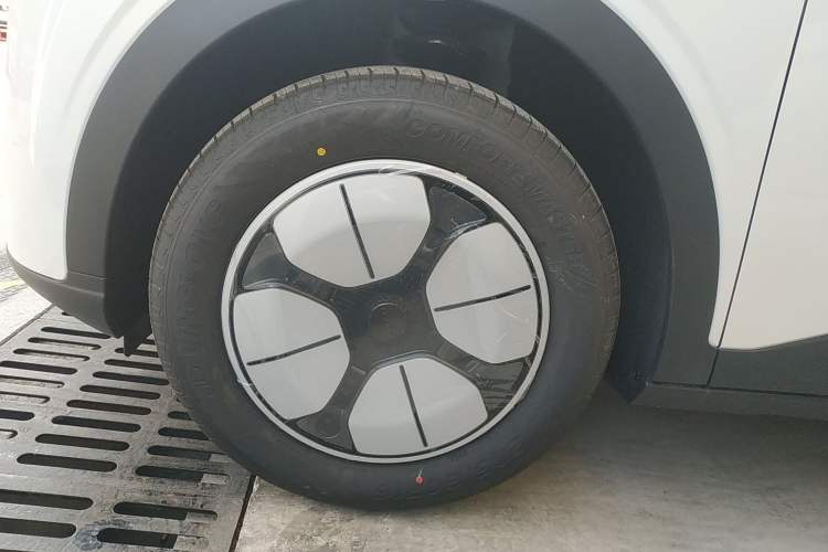 Used  Geome 2025 310km Youth Edition
