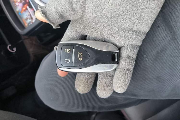 Used Dayun Yuehu 2021 32.85 kWh Two-Wheel-Drive Sprite Version