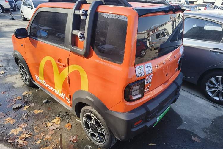 Used  Panda 2025 210km Panda Rider