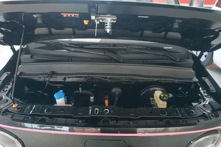 Used  Panda 2025 210km Panda Kart
