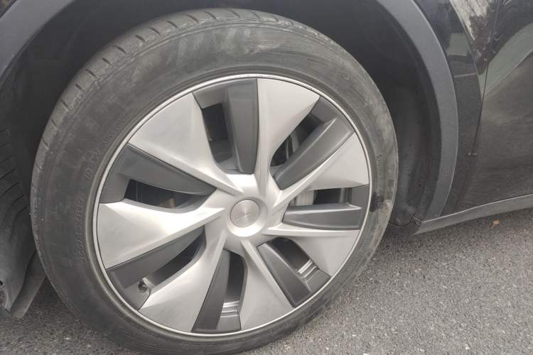 Used Tesla Model Y 2021 Standard Range Rear-Wheel Drive Version
