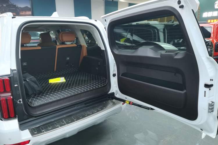 Used Tank 500 New Energy 2024 Hi4-T
