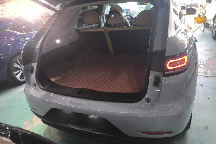 Used Leapmotor C11 2024 All-Electric 580 Luxury Edition
