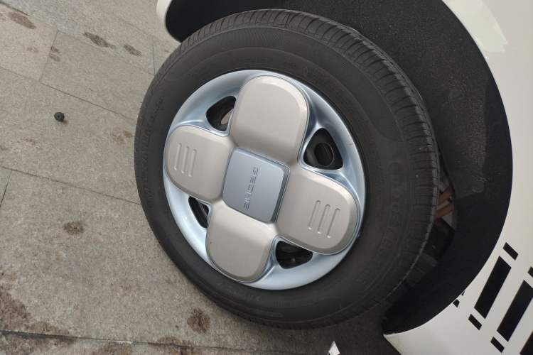 Used  Panda 2024 Panda Mini 200km Endurance Bear
