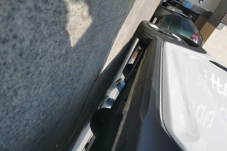 Used  Panda 2024 200km Panda Kart
