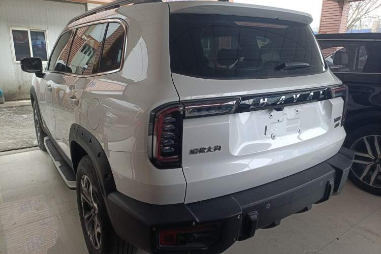 Used Haval DARGO 2022 2.0T DCT 4x4 Chinese Rural Dog Hunting Edition