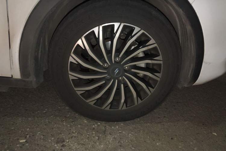 Used Oshan Cosmos 2019 1.5T Automatic Flagship Version China VI Standard
