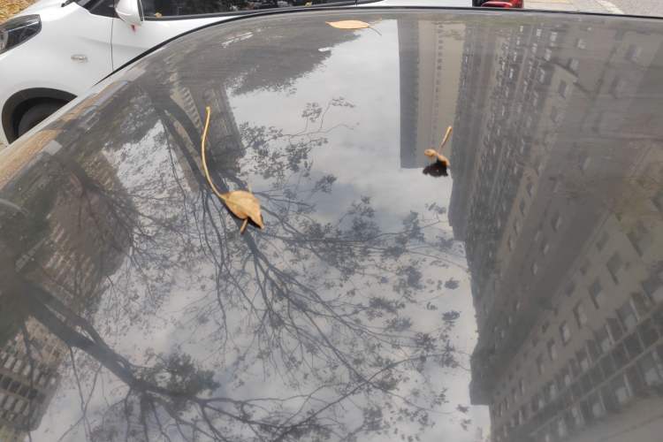 Used ORA Black Cat 2021 351 km Standard Version
