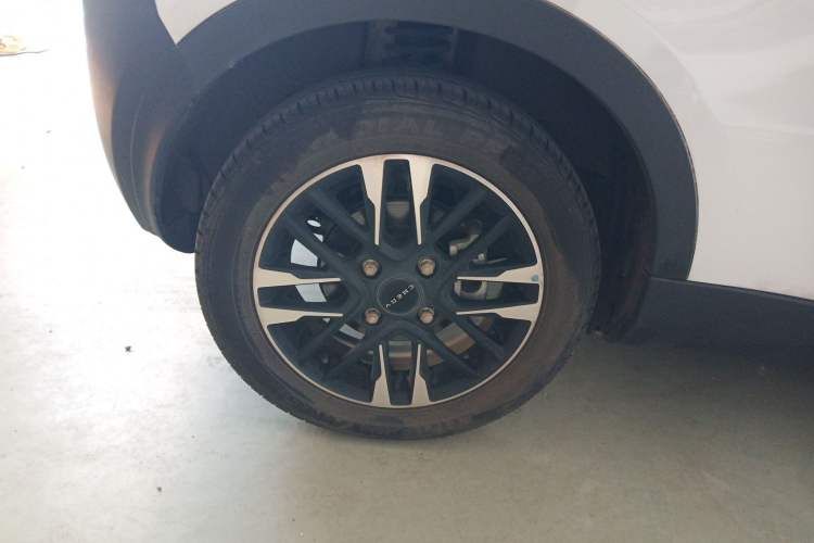 Used Chery Little Ant 2022 Sweet Pink Edition Half-Sugar Version Lithium Iron Phosphate 30 kW 301 km
