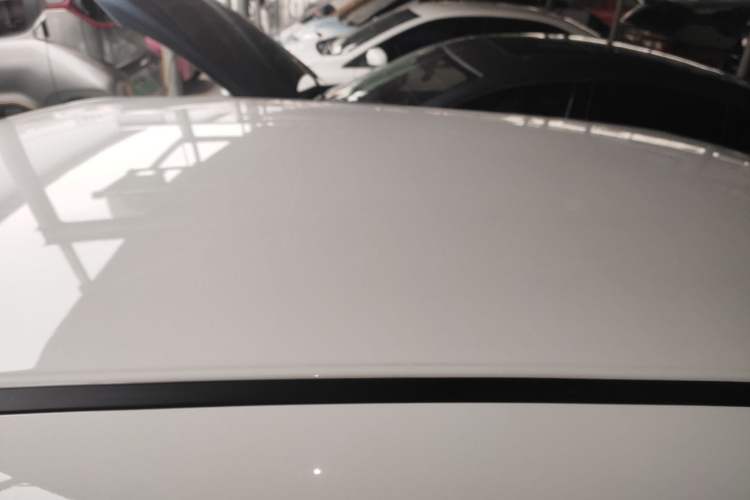 Used ORA White Cat 2020 401 km Long-Range Version