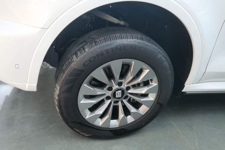 Used Tank 500 New Energy 2024 Hi4-T
