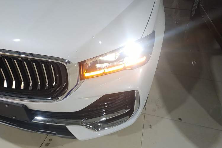 Used Geely Auto Monjaro L 2023 2.0TD High-Power Automatic Two-Wheel Drive Flagship Version
