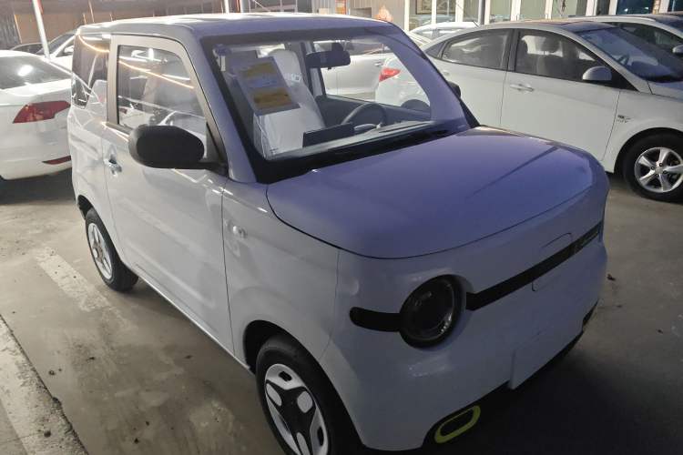 Used  Panda 2025 210 km – Yuanqi Bear
