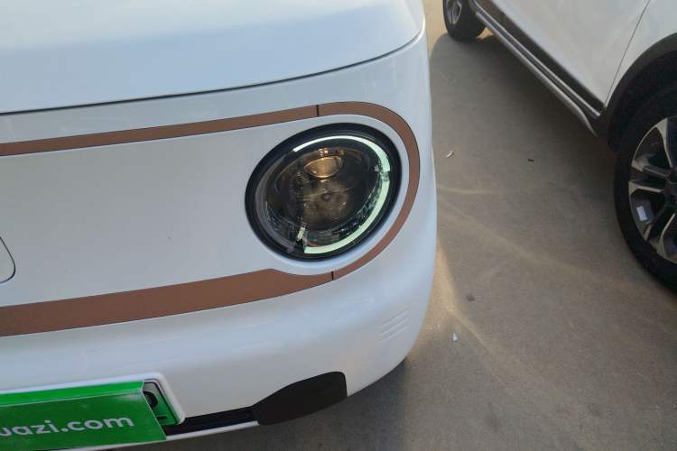 Used  Panda 2024 Panda Mini 200km Endurance Bear
