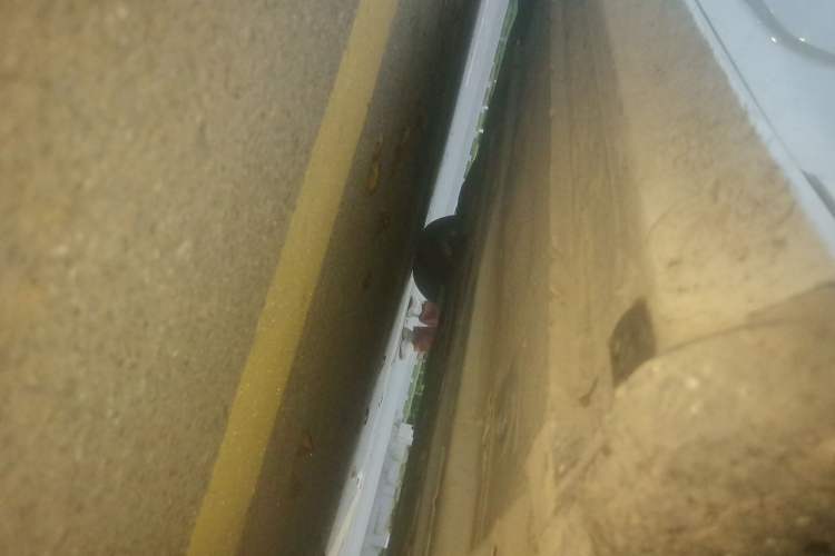 Used Nissan Teana 2019 2.0L XL Comfort Edition