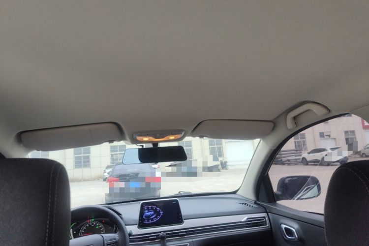 Used Dayun Yuehu 2023 300 Standard Edition