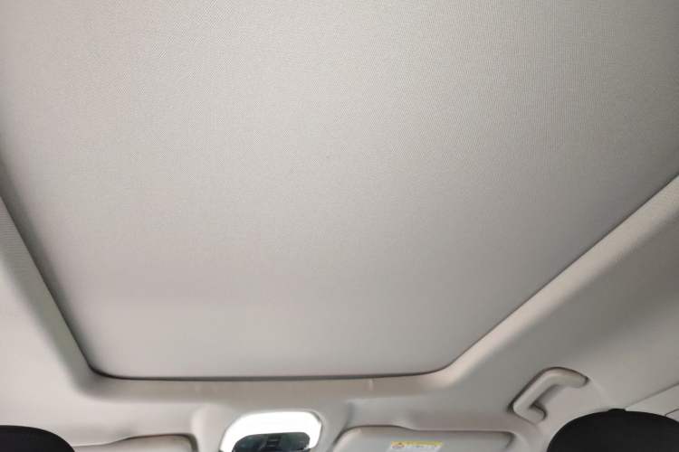 Used  Lingyun 2021 290T Two-Wheel Drive Starry Edition
