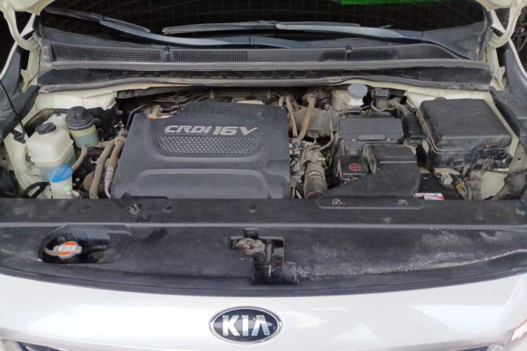 Used Kia Carnival 2017 2.2T Luxury Edition China V Standard
