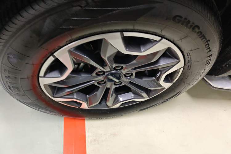 Used Haval DARGO 2021 2.0T DCT 4x4 Chinese Rural Dog Edition