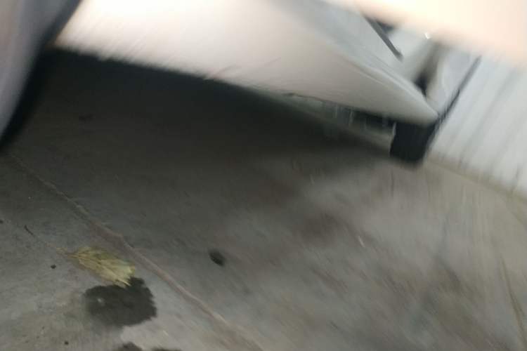 Used Skoda Rapid 2019 Revised Version 1.5L Manual Standard Edition China VI
