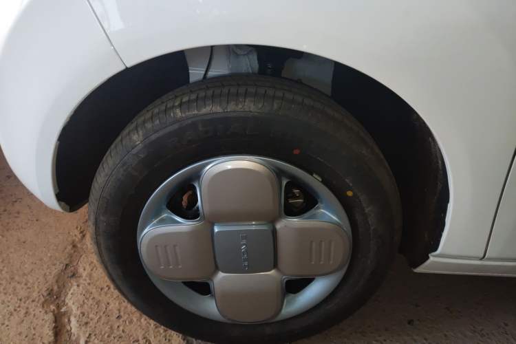 Used  Panda 2024 Panda Mini 200km Endurance Bear