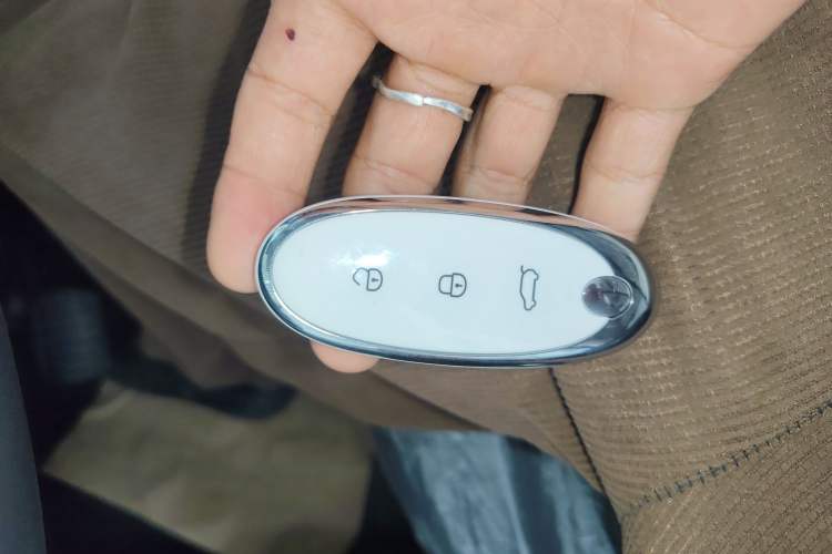 Used Dongfeng NAMMI 01 2024 New Edition 330 Air
