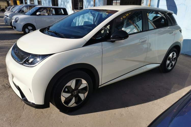 Used BYD Dolphin 2025 420km Free Edition
