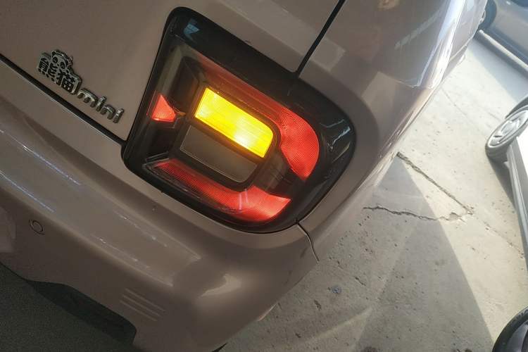 Used  Panda 2023 Panda Mini 200km Dynamic Bear