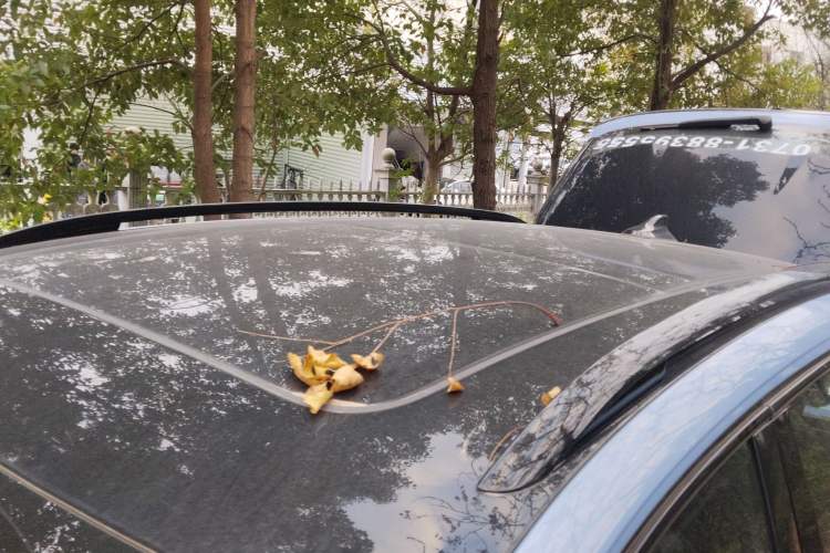 Used Volkswagen Tiguan L 2024 PRO 380TSI Four-Wheel Drive R-Line Prestige Edition