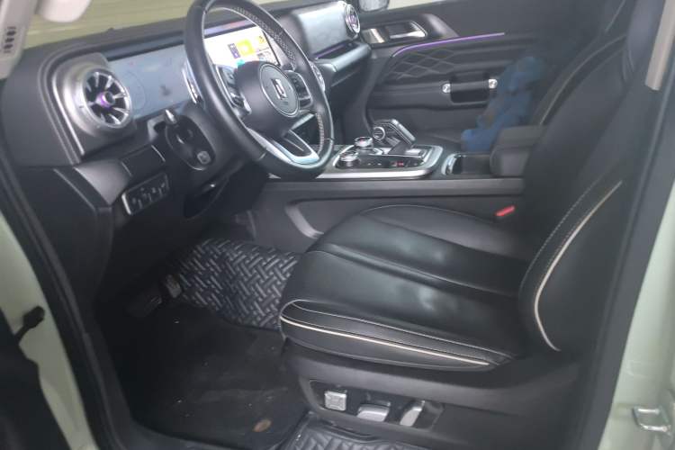 Used Tank 300 2024 2.0T Crosser
