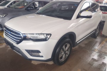 Used Haval H6 Coupe 2016 Blue Label 1.5T Automatic Two-Wheel Drive Urban Model