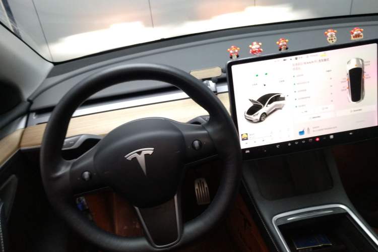 Used Tesla Model Y 2021 Standard Range Rear-Wheel Drive Version