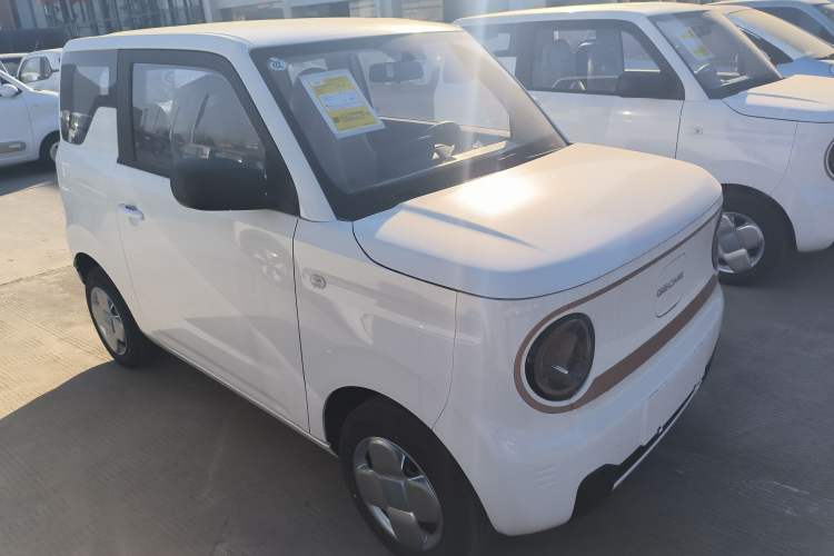 Used  Panda 2024 Panda Mini 200km Endurance Bear