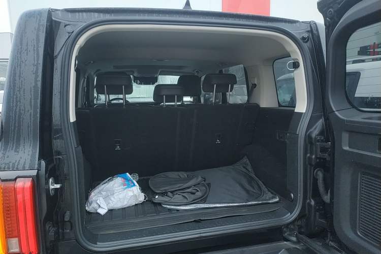 Used Tank 300 2021 City Edition 2.0T—Truly Stylish