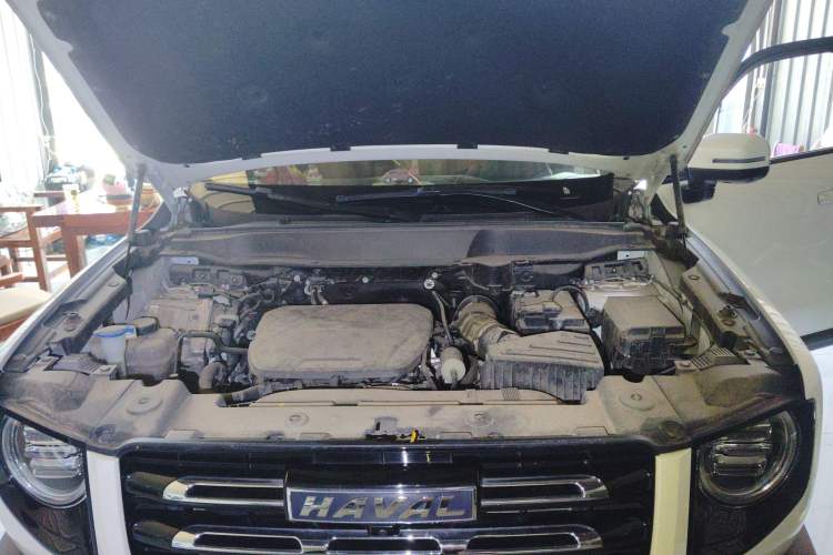 Used Haval DARGO 2022 1.5T DCT Two-Wheel Drive Labrador Edition
